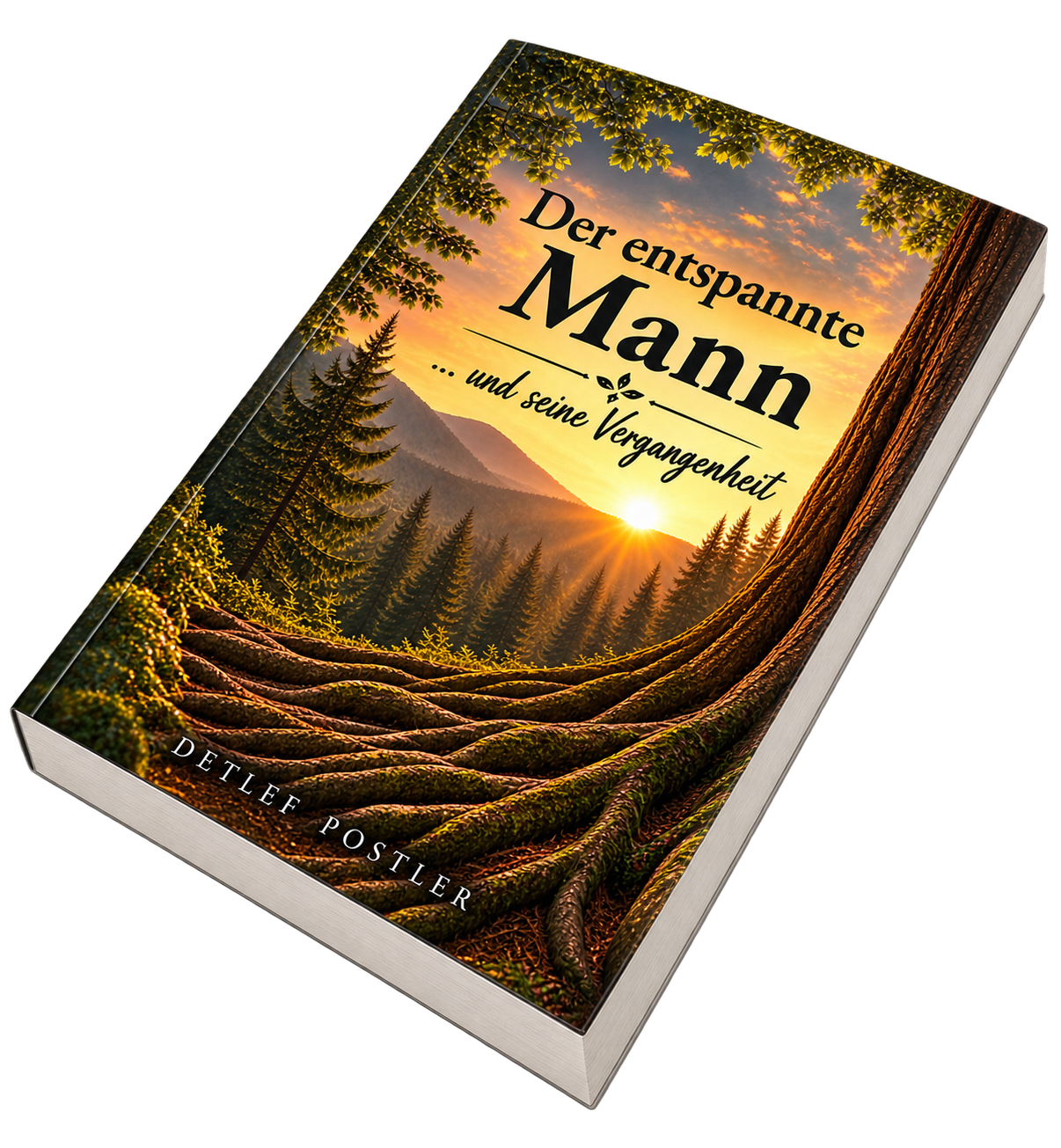 Buch Der entspannte Mann
